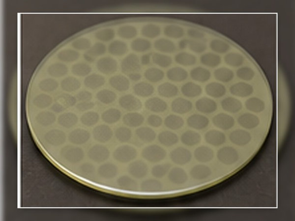 Circular gallium oxide substrate with a smooth patterned surface under soft laboratory lighting.