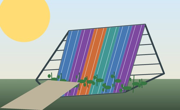 A sunlit greenhouse frame is covered by colorful translucent photovoltaic roof strips above rows of plants.